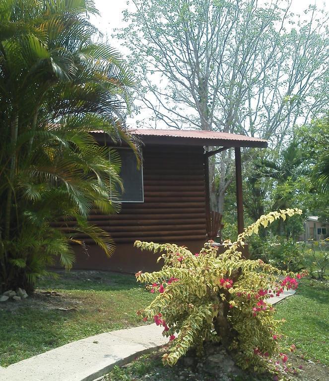 The Log Cab-Inn San Ignacio Ruang foto