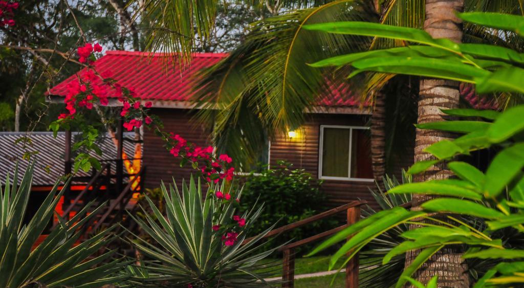 The Log Cab-Inn San Ignacio Ruang foto