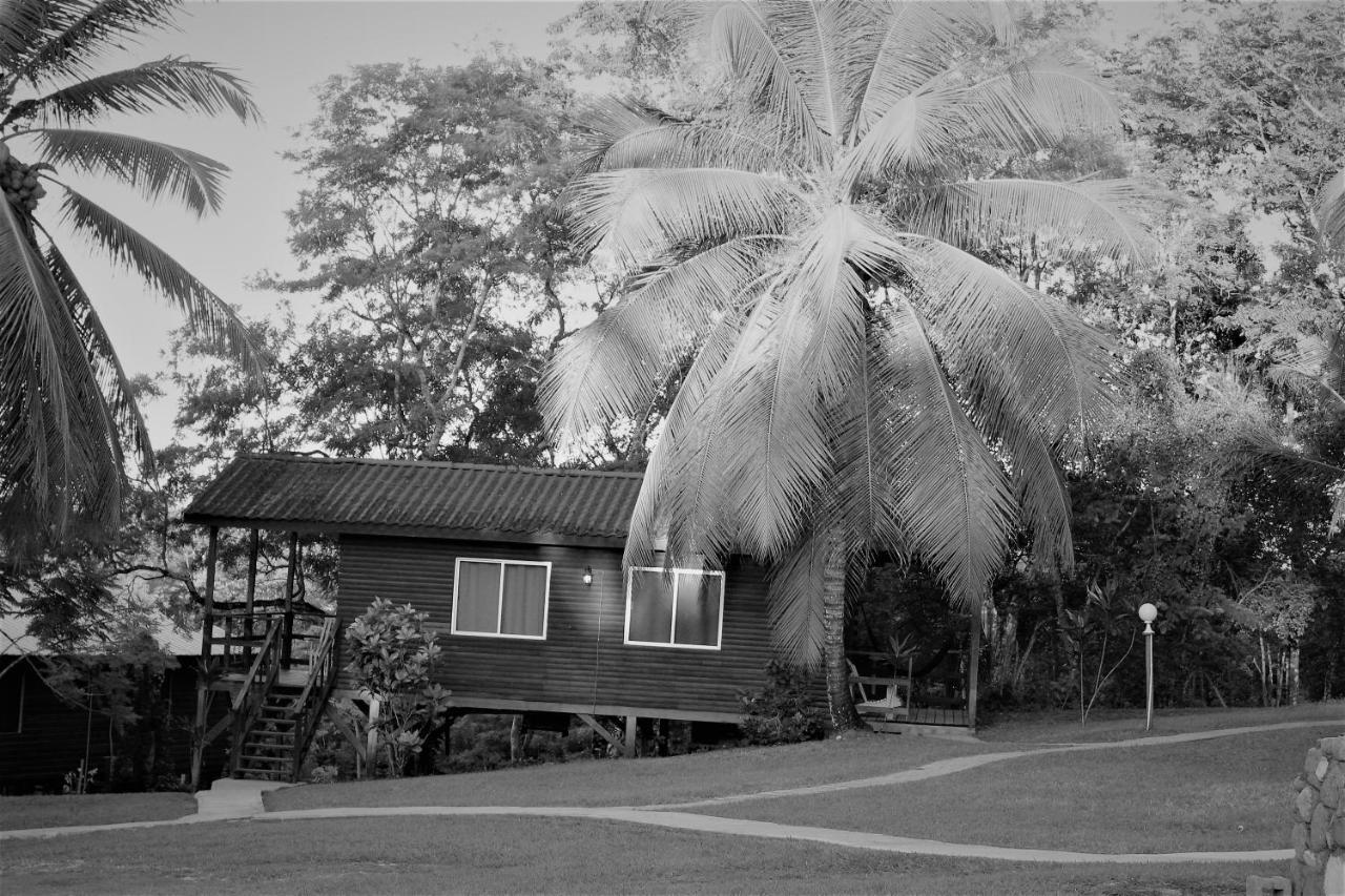 The Log Cab-Inn San Ignacio Bagian luar foto