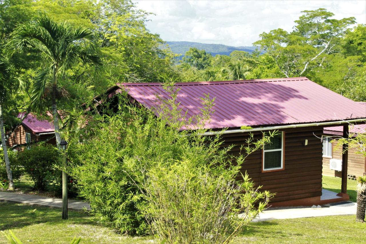 The Log Cab-Inn San Ignacio Bagian luar foto