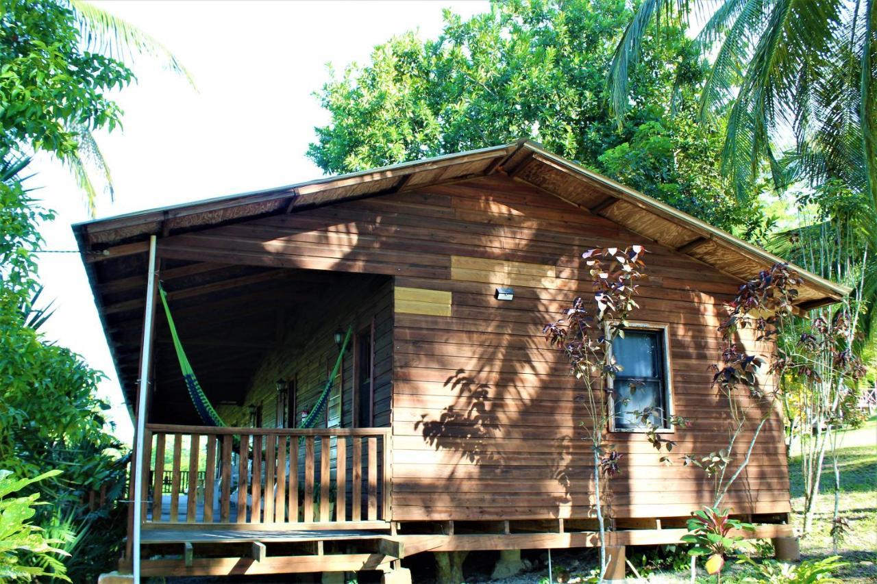 The Log Cab-Inn San Ignacio Bagian luar foto