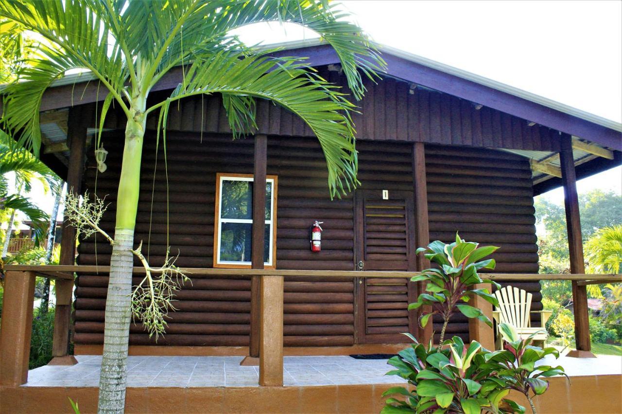The Log Cab-Inn San Ignacio Bagian luar foto