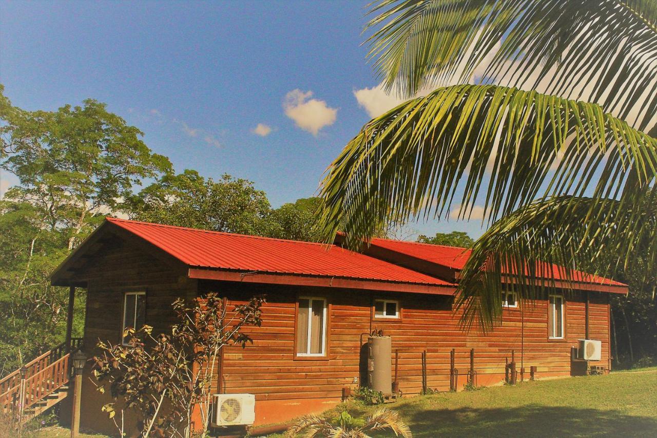 The Log Cab-Inn San Ignacio Bagian luar foto